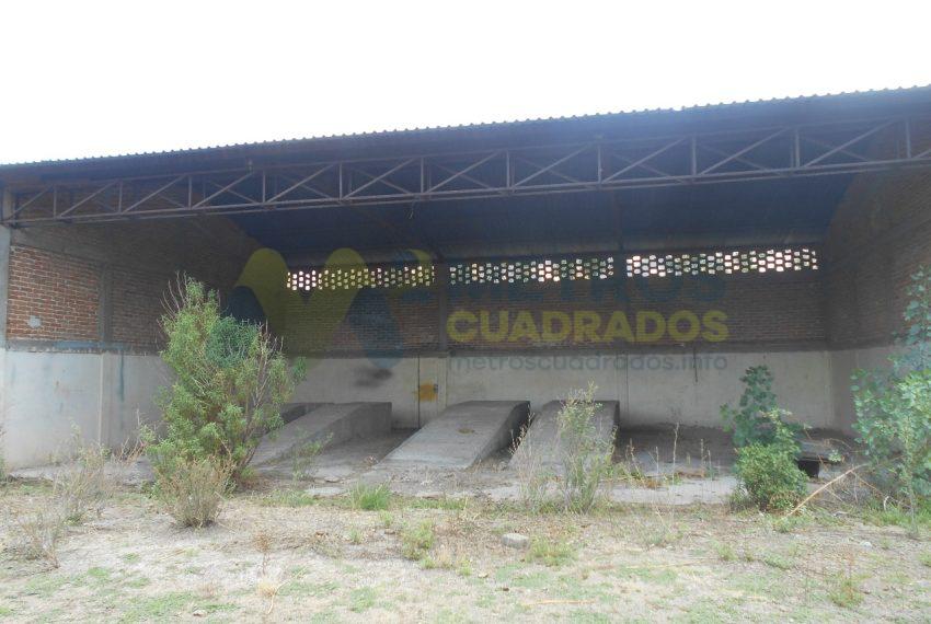 WhatsApp Image 2024-07-22 at 11.07.02 AM (3)