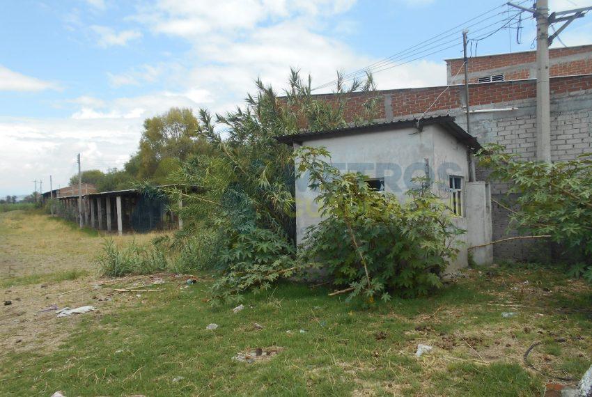 WhatsApp Image 2024-07-22 at 11.07.02 AM (4)