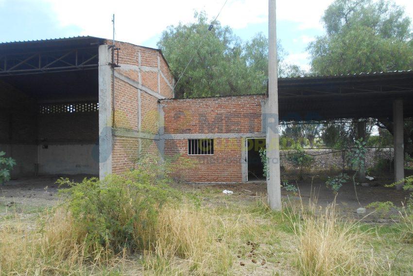 WhatsApp Image 2024-07-22 at 11.07.02 AM (5)