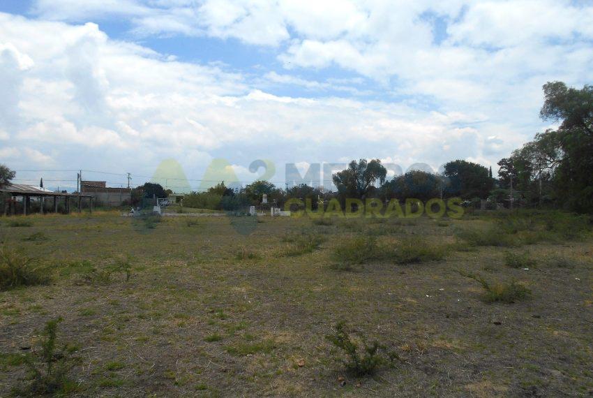 WhatsApp Image 2024-07-22 at 11.07.03 AM (2)