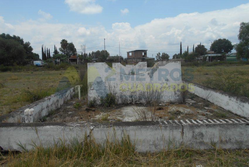 WhatsApp Image 2024-07-22 at 11.07.03 AM (4)