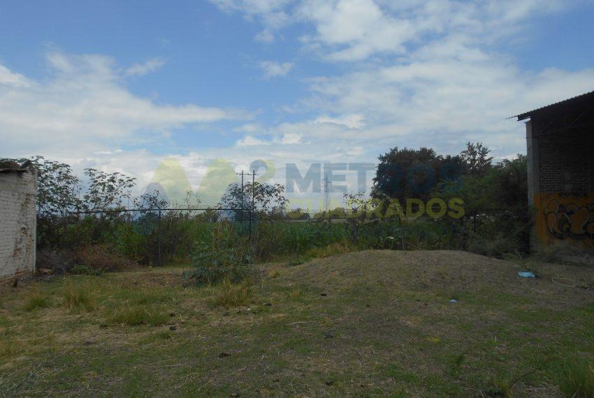 WhatsApp Image 2024-07-22 at 11.07.03 AM