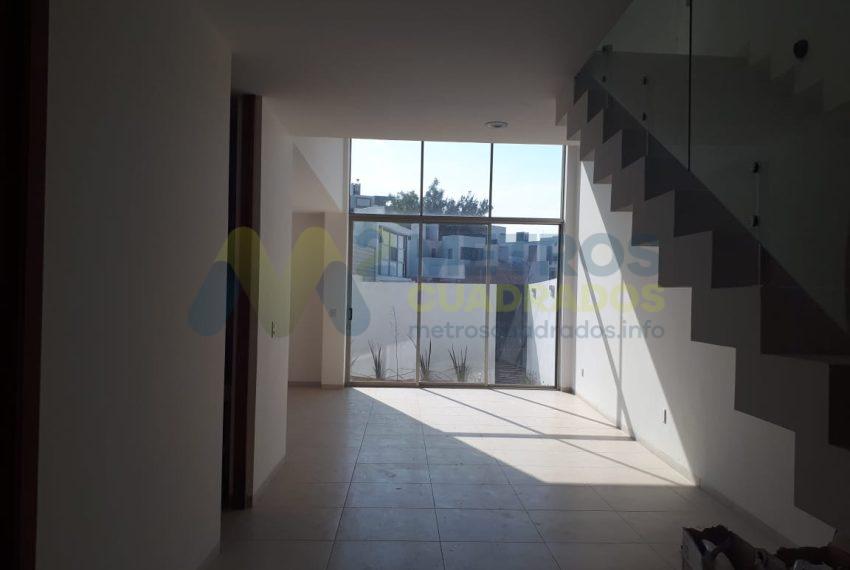 WhatsApp Image 2025-08-20 at 8.17.29 PM (1)