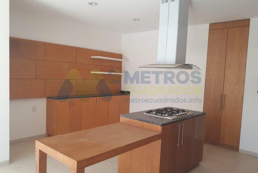 WhatsApp Image 2025-08-20 at 8.17.29 PM