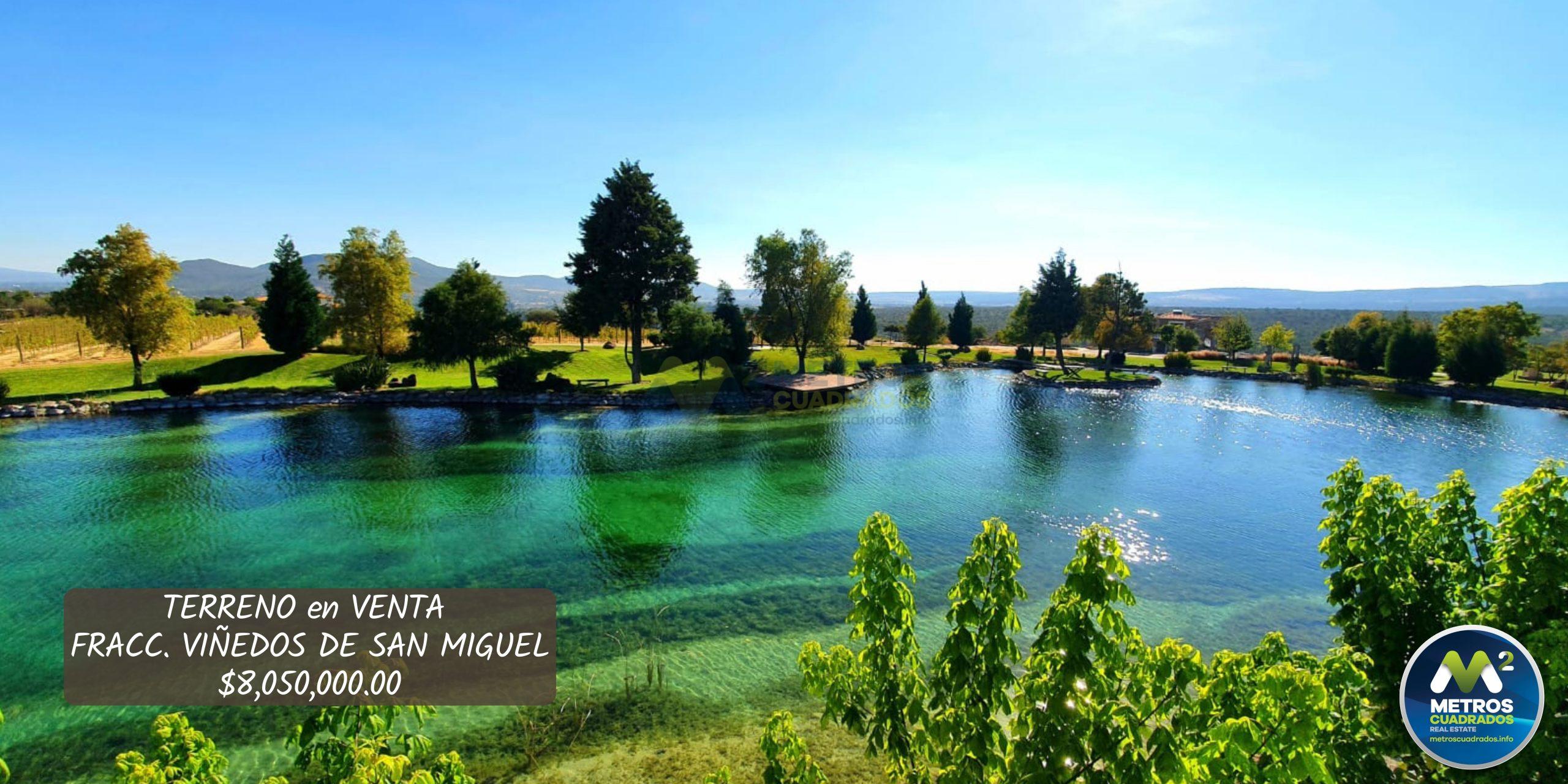 TERRENO en VENTA en VIÑEDO SAN MIGUEL