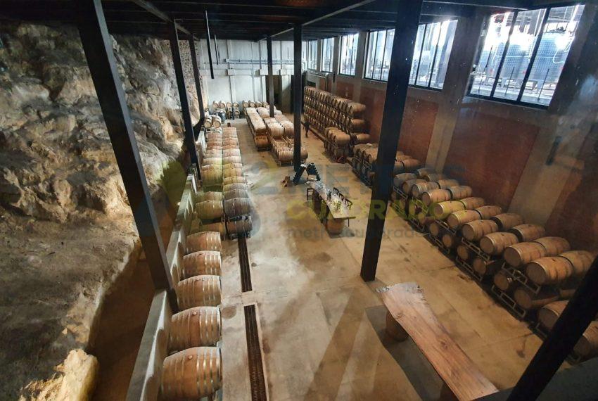 WhatsApp Image 2025-10-14 at 3.49.32 PM (1)