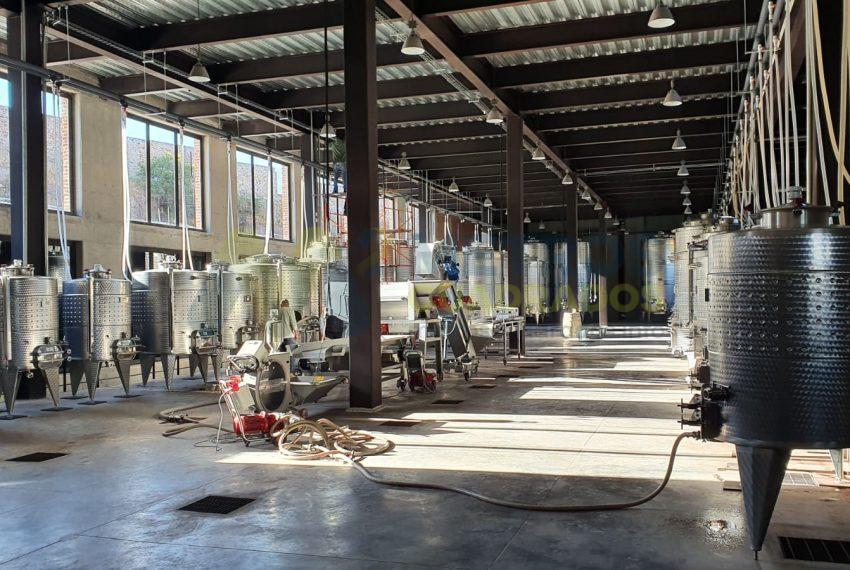 WhatsApp Image 2025-10-14 at 3.49.32 PM (3)