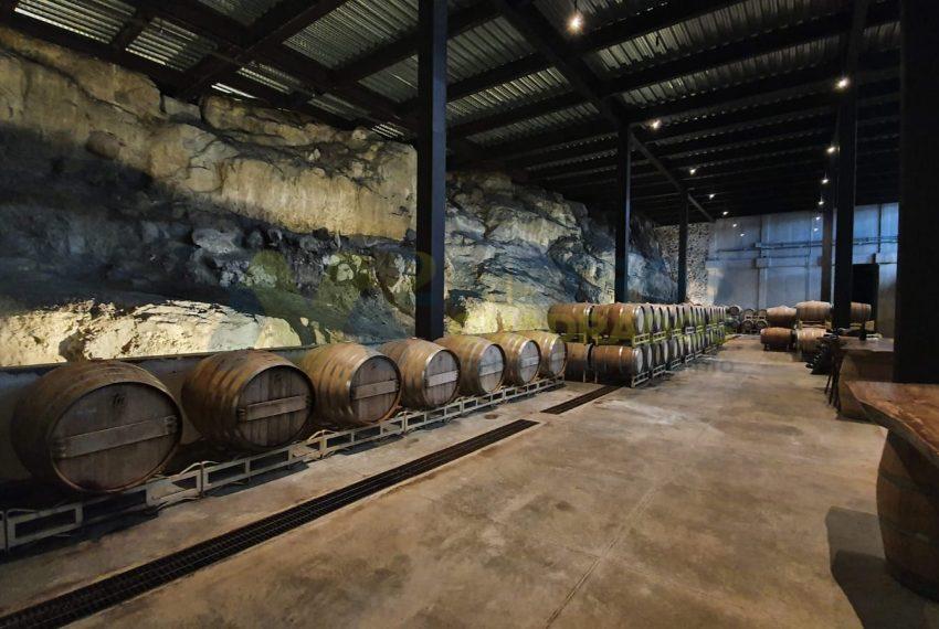 WhatsApp Image 2025-10-14 at 3.49.32 PM