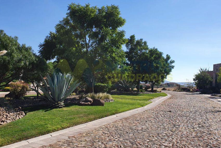 WhatsApp Image 2025-10-14 at 3.49.34 PM (2)