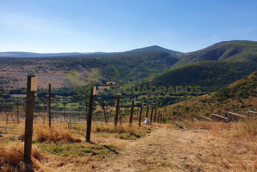 WhatsApp Image 2025-10-14 at 3.49.34 PM (3)