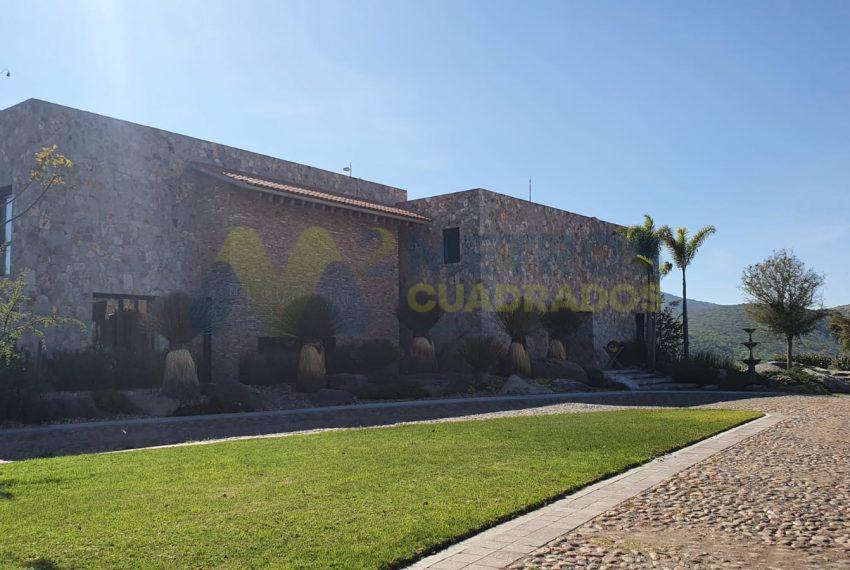 WhatsApp Image 2025-10-14 at 3.49.34 PM (4)