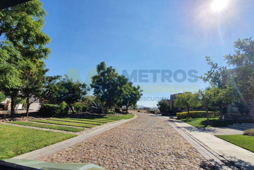 WhatsApp Image 2025-10-14 at 3.49.34 PM