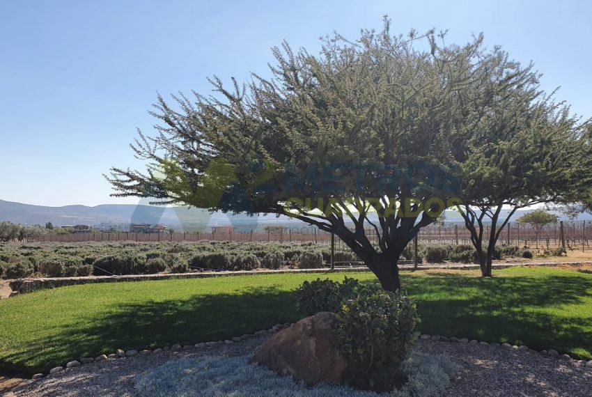 WhatsApp Image 2025-10-14 at 3.49.35 PM (1)