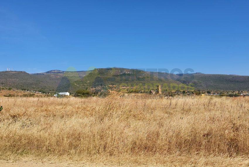 WhatsApp Image 2025-10-14 at 3.49.35 PM (2)