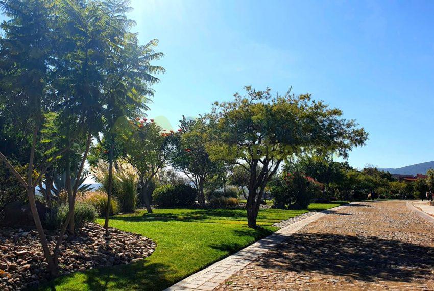 WhatsApp Image 2025-10-14 at 3.49.35 PM