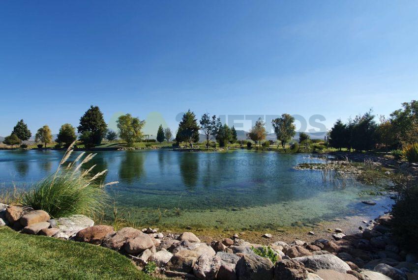 WhatsApp Image 2025-10-14 at 3.49.36 PM (2)