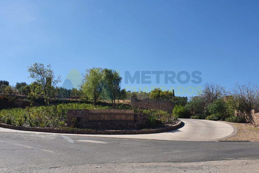 WhatsApp Image 2025-10-14 at 3.49.37 PM (2)