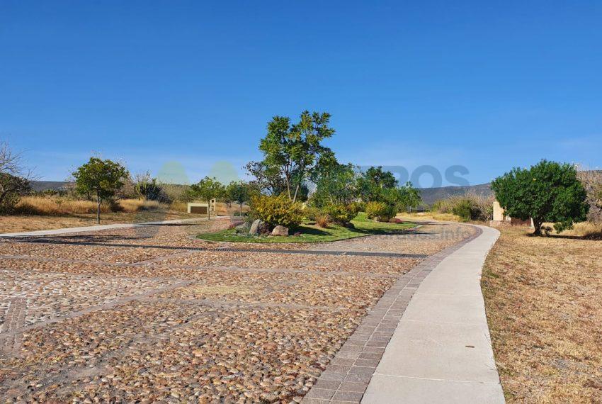 WhatsApp Image 2025-10-14 at 3.49.39 PM (1)