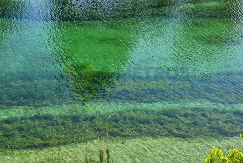 WhatsApp Image 2025-10-14 at 3.49.39 PM