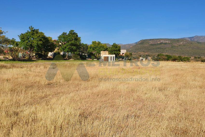 WhatsApp Image 2025-10-14 at 3.49.40 PM