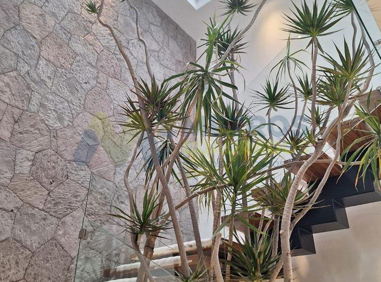 bf3d58a0-425d-488d-a294-b6fa176eeddf