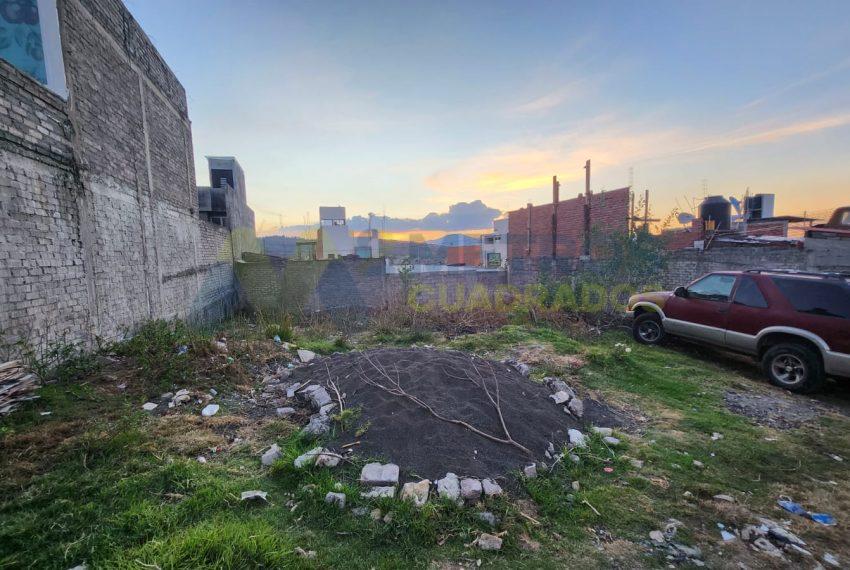 WhatsApp Image 2025-11-20 at 1.56.36 PM (1)