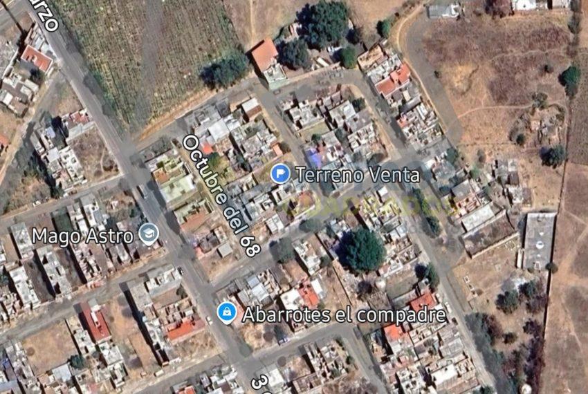 WhatsApp Image 2025-11-20 at 2.00.21 PM