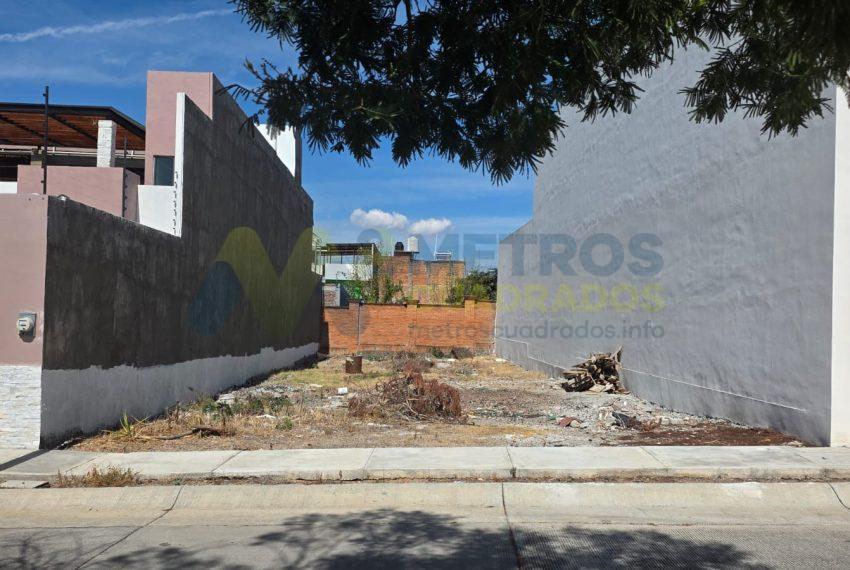 WhatsApp Image 2026-01-19 at 1.13.35 PM (1)