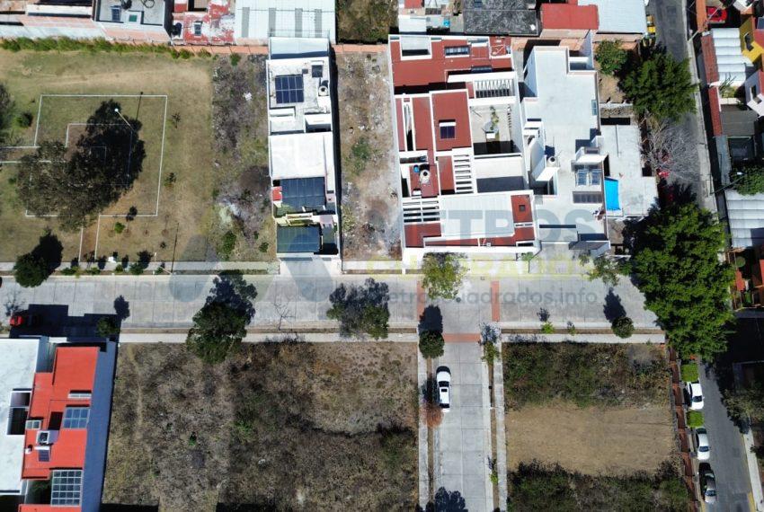 WhatsApp Image 2026-01-19 at 1.13.35 PM (4)