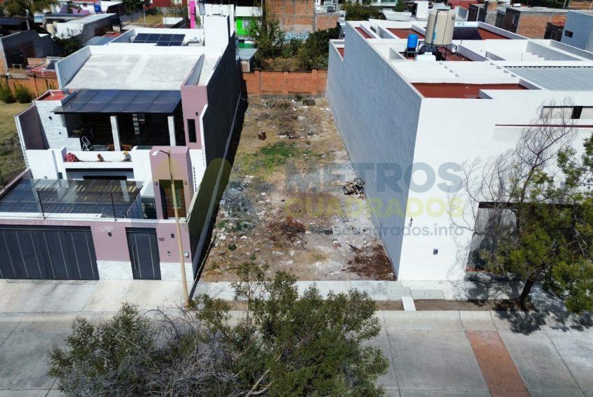 WhatsApp Image 2026-01-19 at 1.13.35 PM