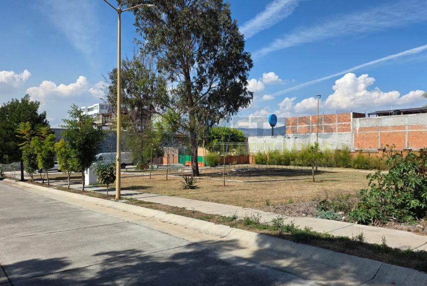 WhatsApp Image 2026-01-19 at 1.16.43 PM (1)