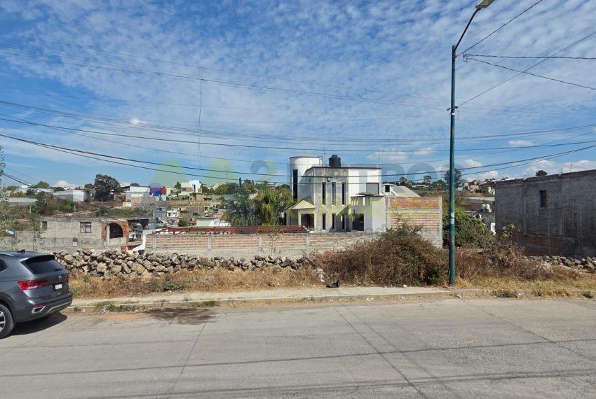 WhatsApp Image 2026-01-21 at 12.08.23 PM