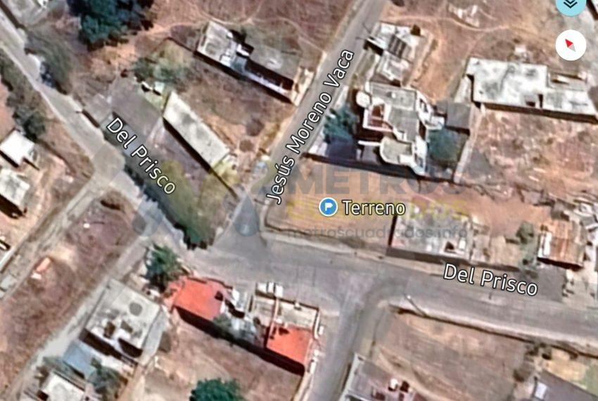 WhatsApp Image 2026-01-21 at 12.10.38 PM