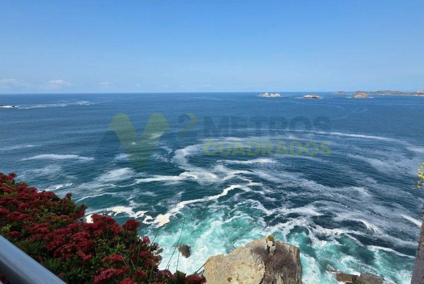 WhatsApp Image 2026-03-17 at 8.50.49 AM